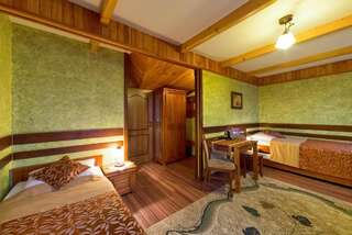 Гостевой дом Willa Roztoka Буковина-Татшаньска Классический двухместный номер с 2 отдельными кроватями-1