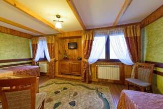 Гостевой дом Willa Roztoka Буковина-Татшаньска Классический двухместный номер с 2 отдельными кроватями-3